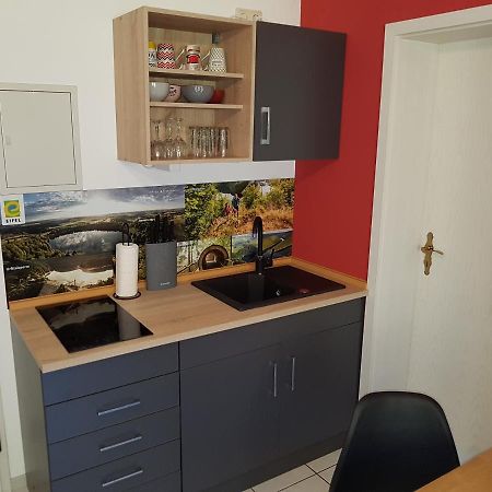 Zimmerappartement "Rose" - Ferienwohnungen Wagner & Gaul Daleiden Bagian luar foto